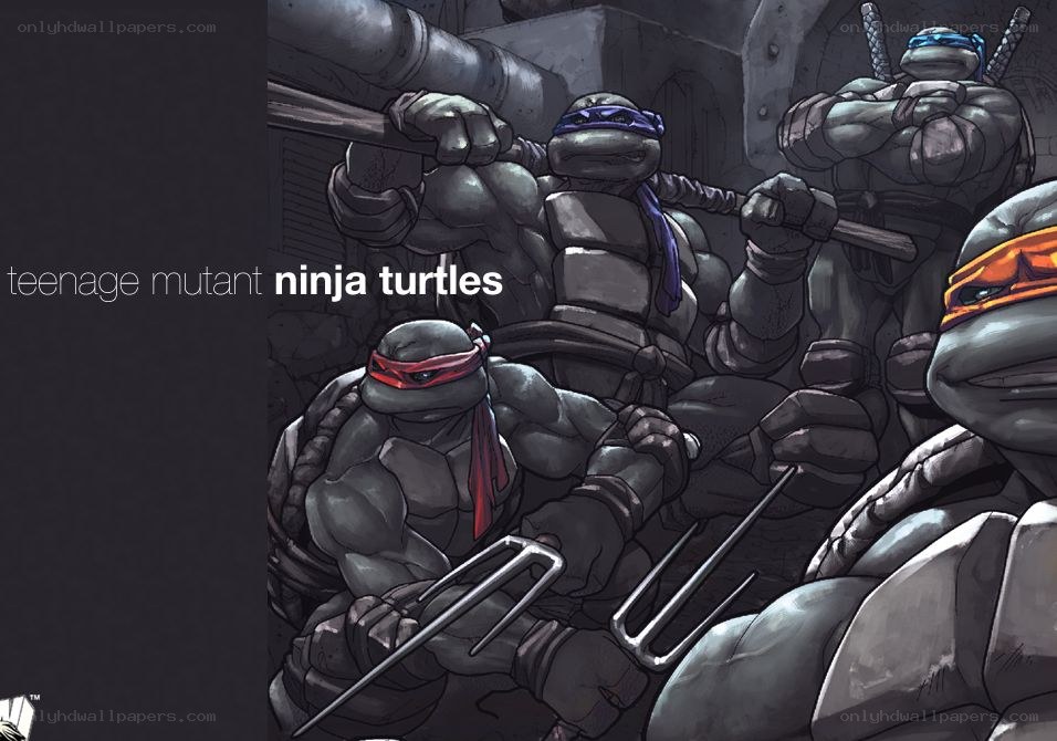 Teenage Mutant Ninja Turtles