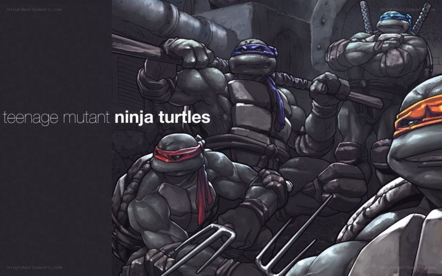 Teenage Mutant Ninja Turtles
