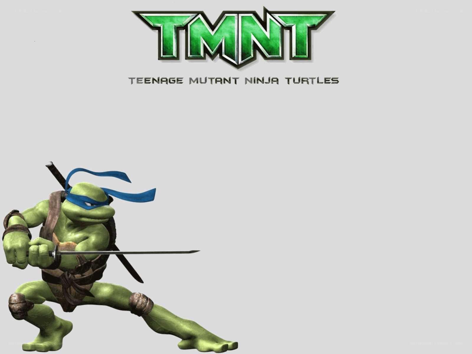 Teenage Mutant Ninja Turtles