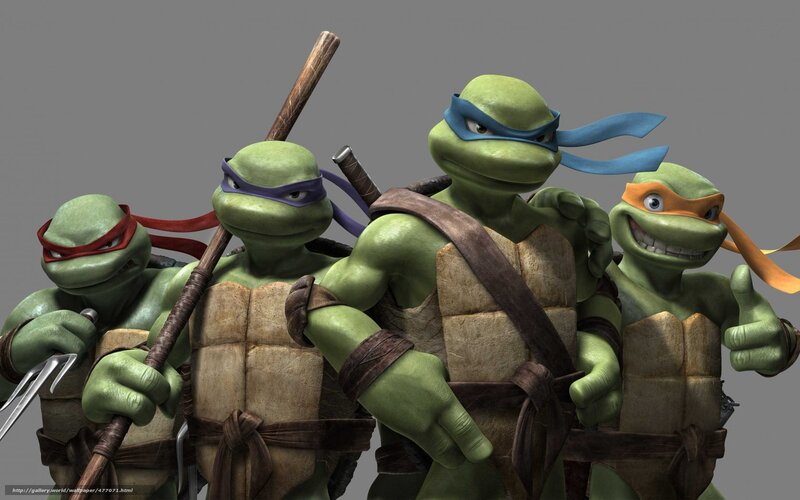 Teenage Mutant Ninja Turtles