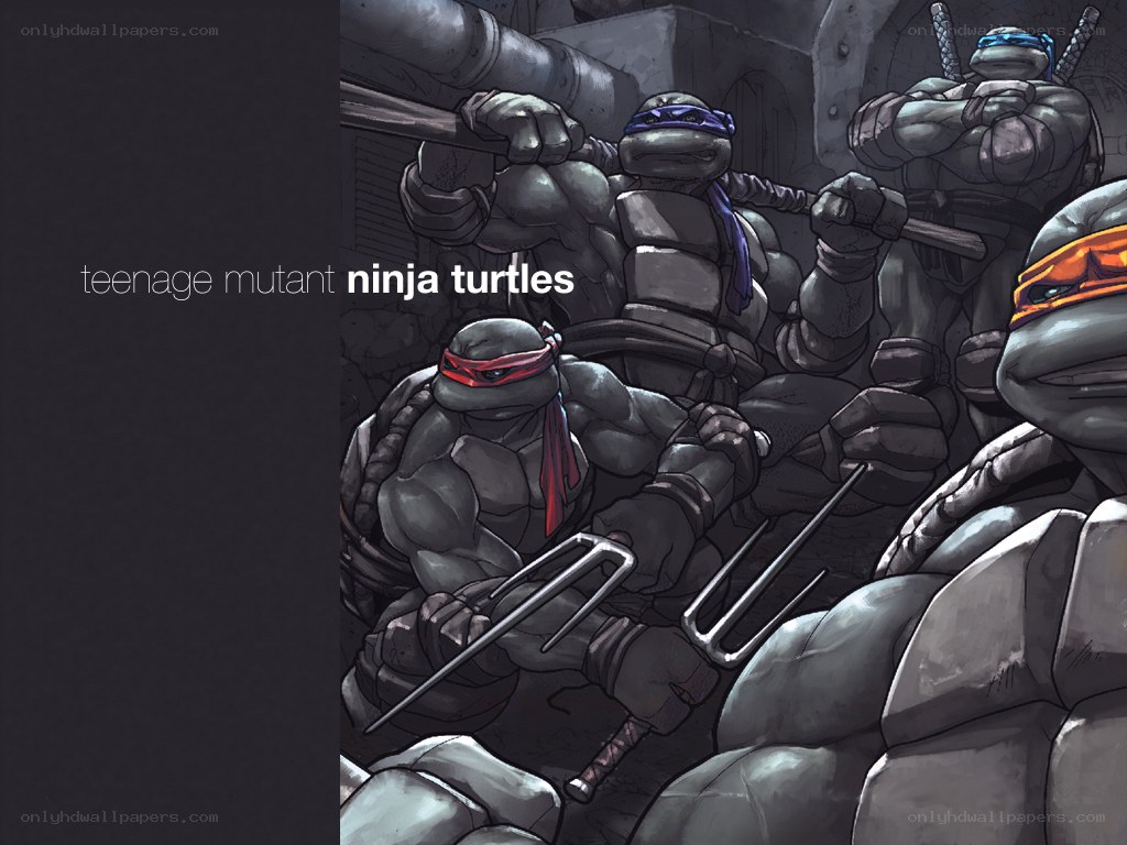 Teenage Mutant Ninja Turtles artwork