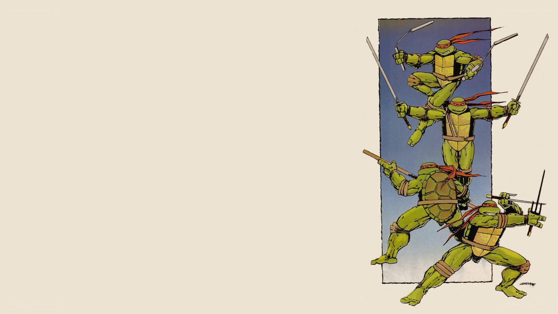 Teenage Mutant Ninja Turtles artwork