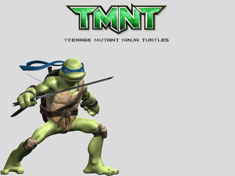 Teenage Mutant Ninja Turtles character