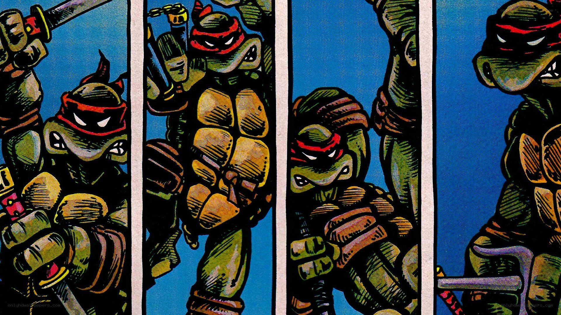 Teenage Mutant Ninja Turtles comic panel