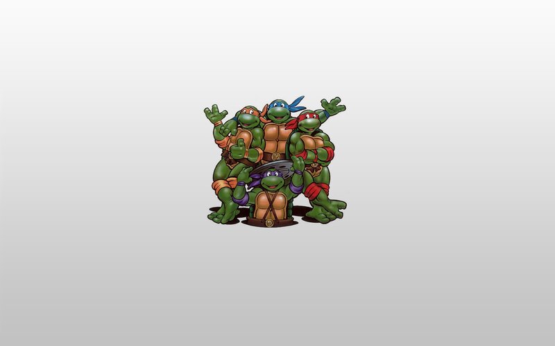 Teenage Mutant Ninja Turtles — Green, Friendly