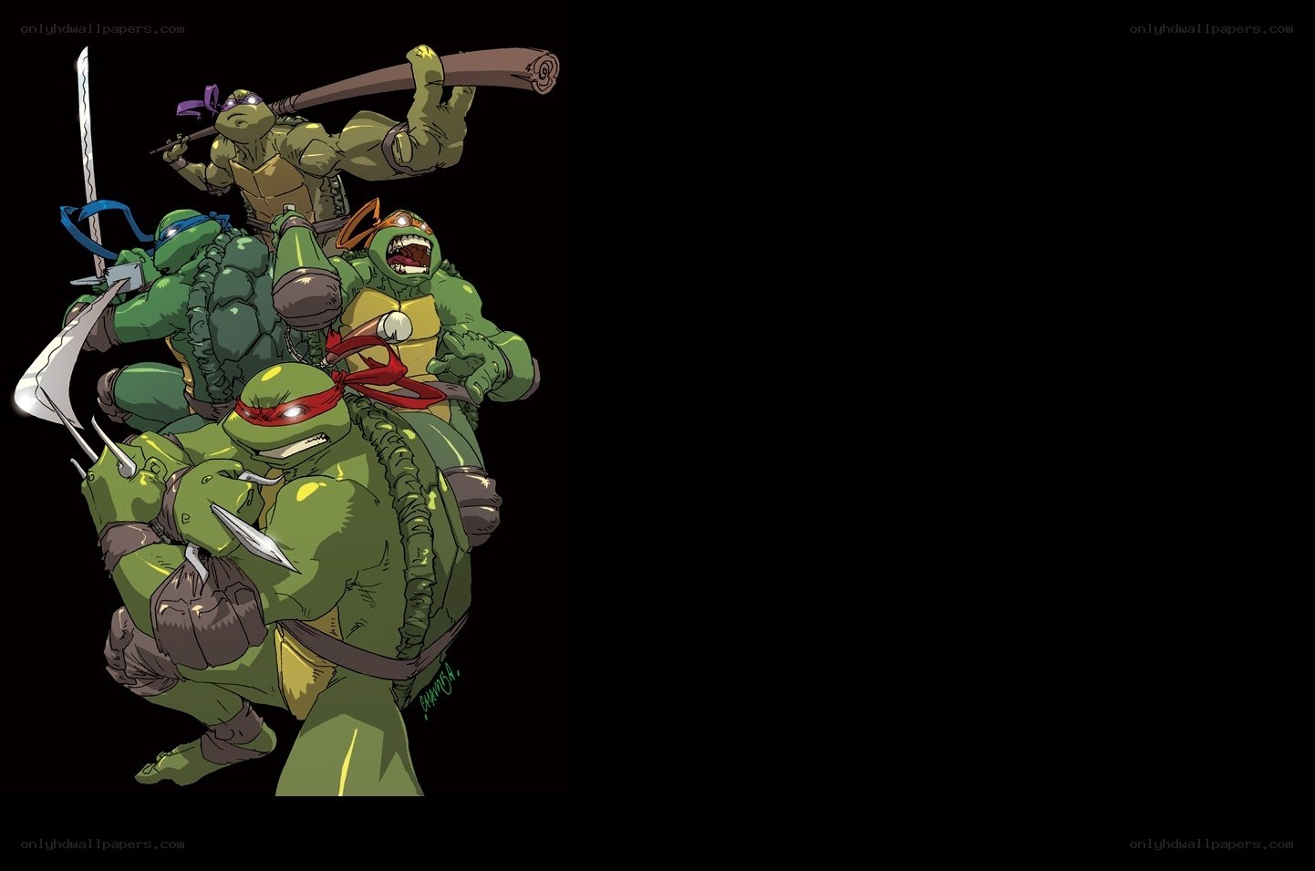Teenage Mutant Ninja Turtles group