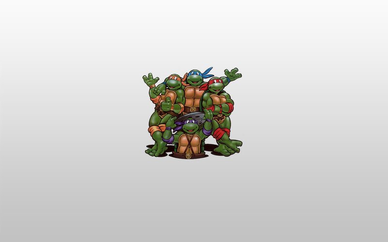 Teenage Mutant Ninja Turtles group