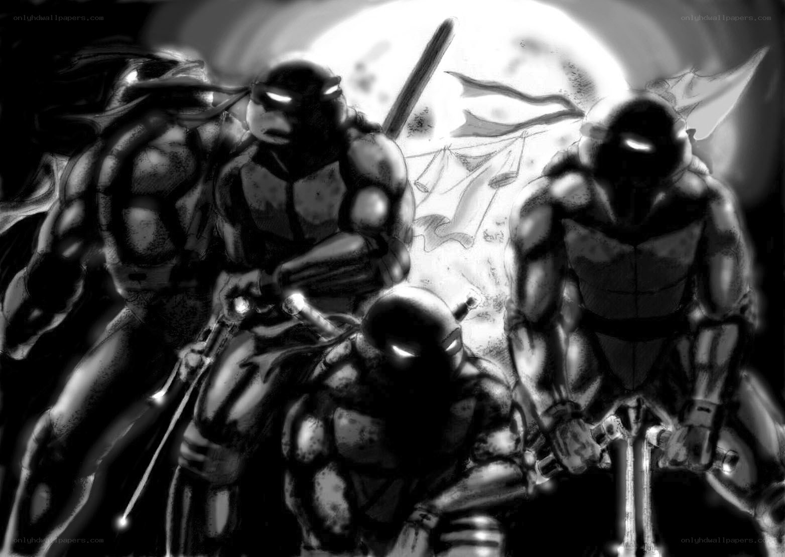 Teenage Mutant Ninja Turtles group