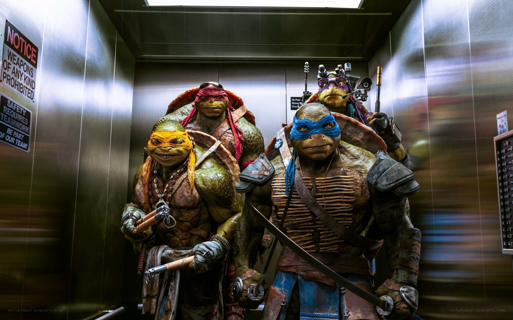 Teenage Mutant Ninja Turtles in elevator
