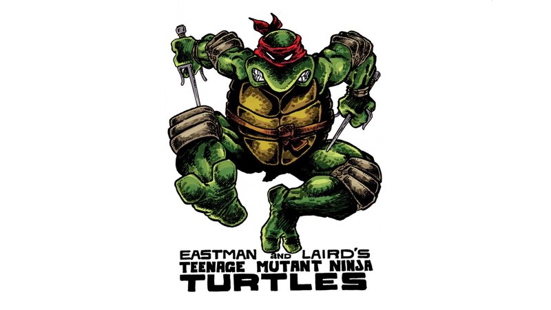 Teenage Mutant Ninja Turtles logo