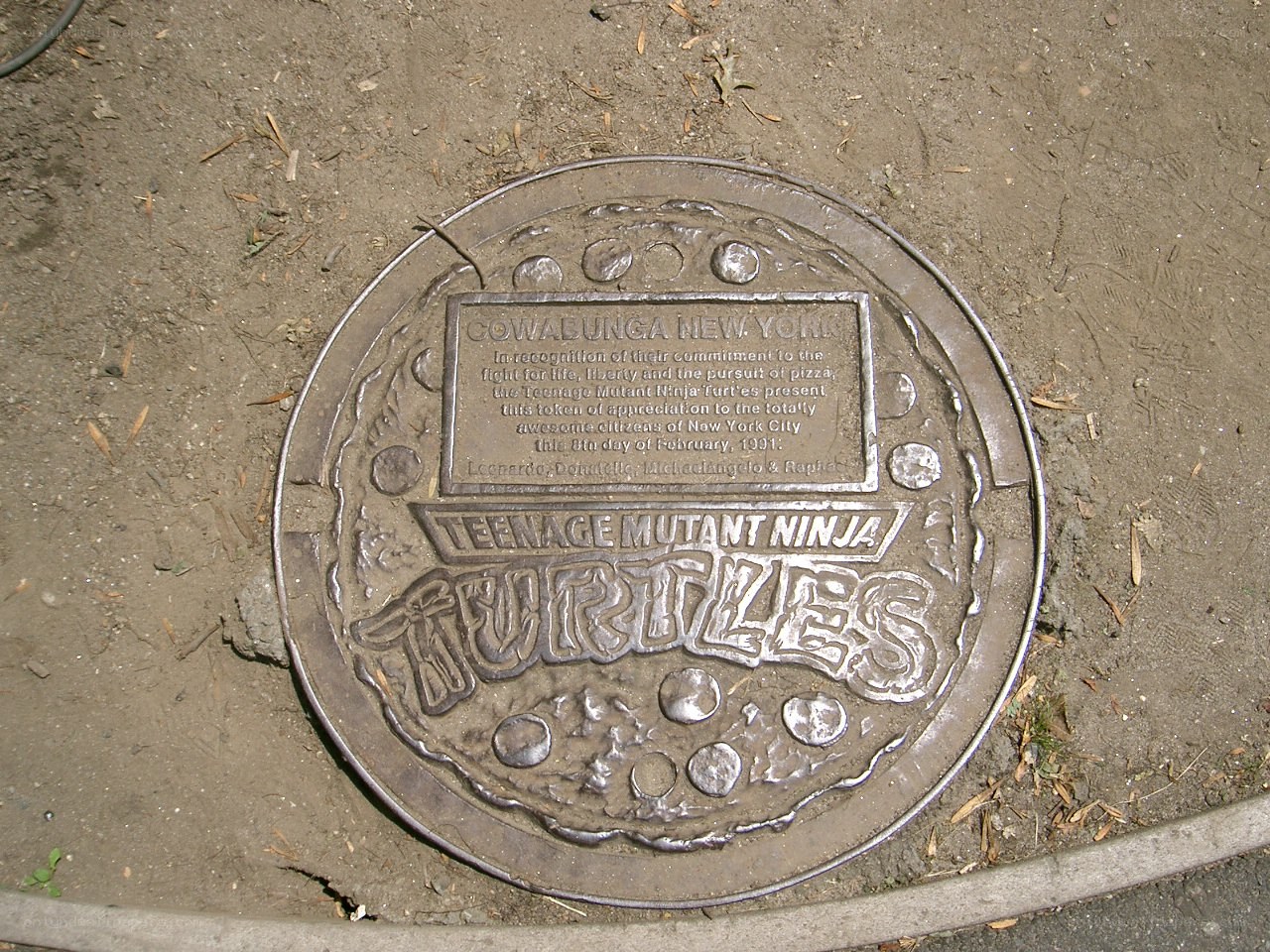 Teenage Mutant Ninja Turtles plaque