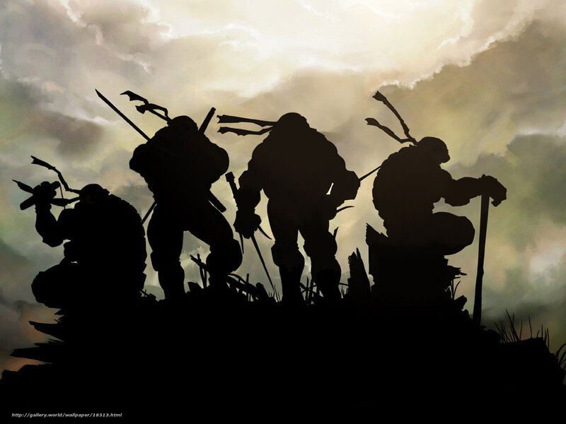 Teenage Mutant Ninja Turtles silhouette