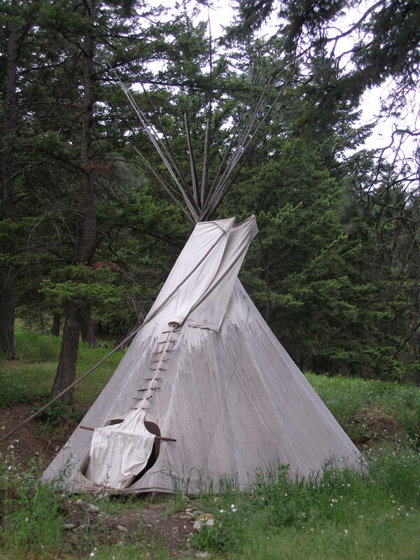 Teepee in a forest clearing
