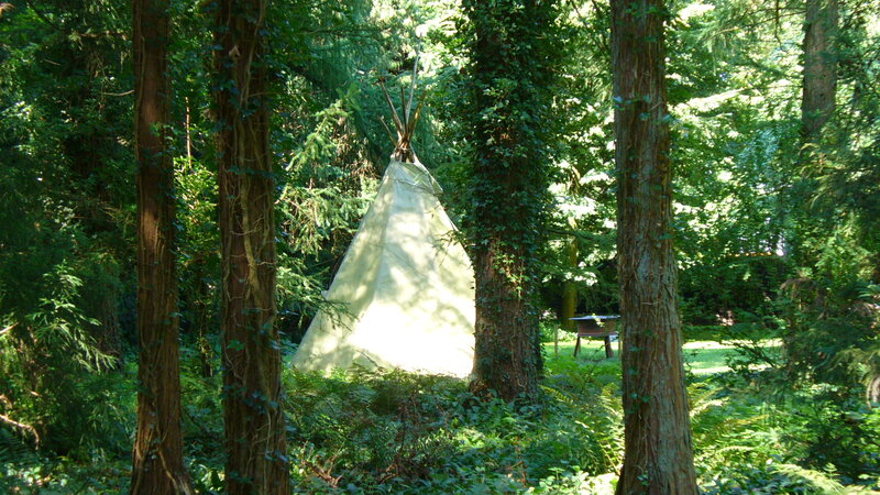 Teepee in Forest