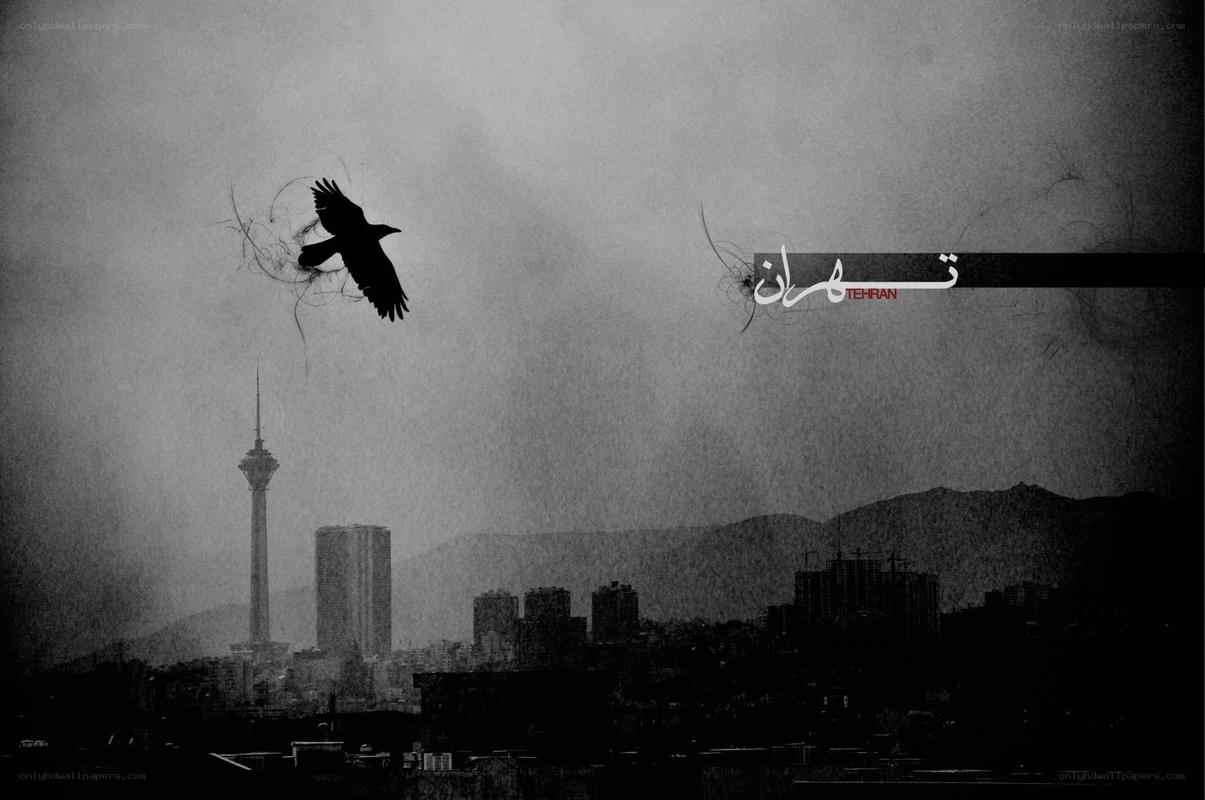 Tehran cityscape with crow