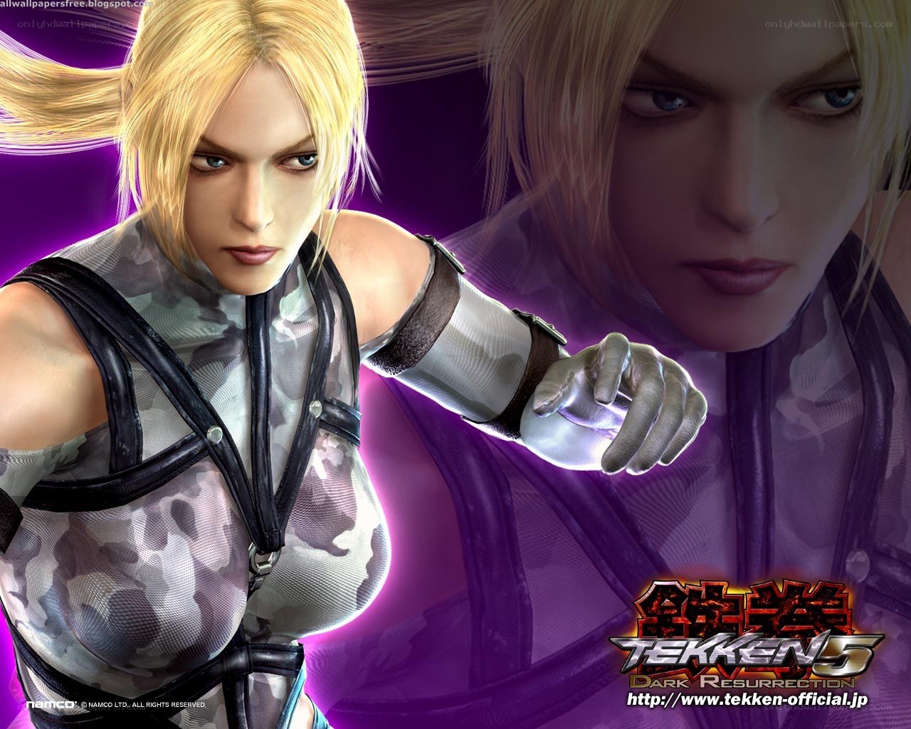 Tekken 5 character artwork