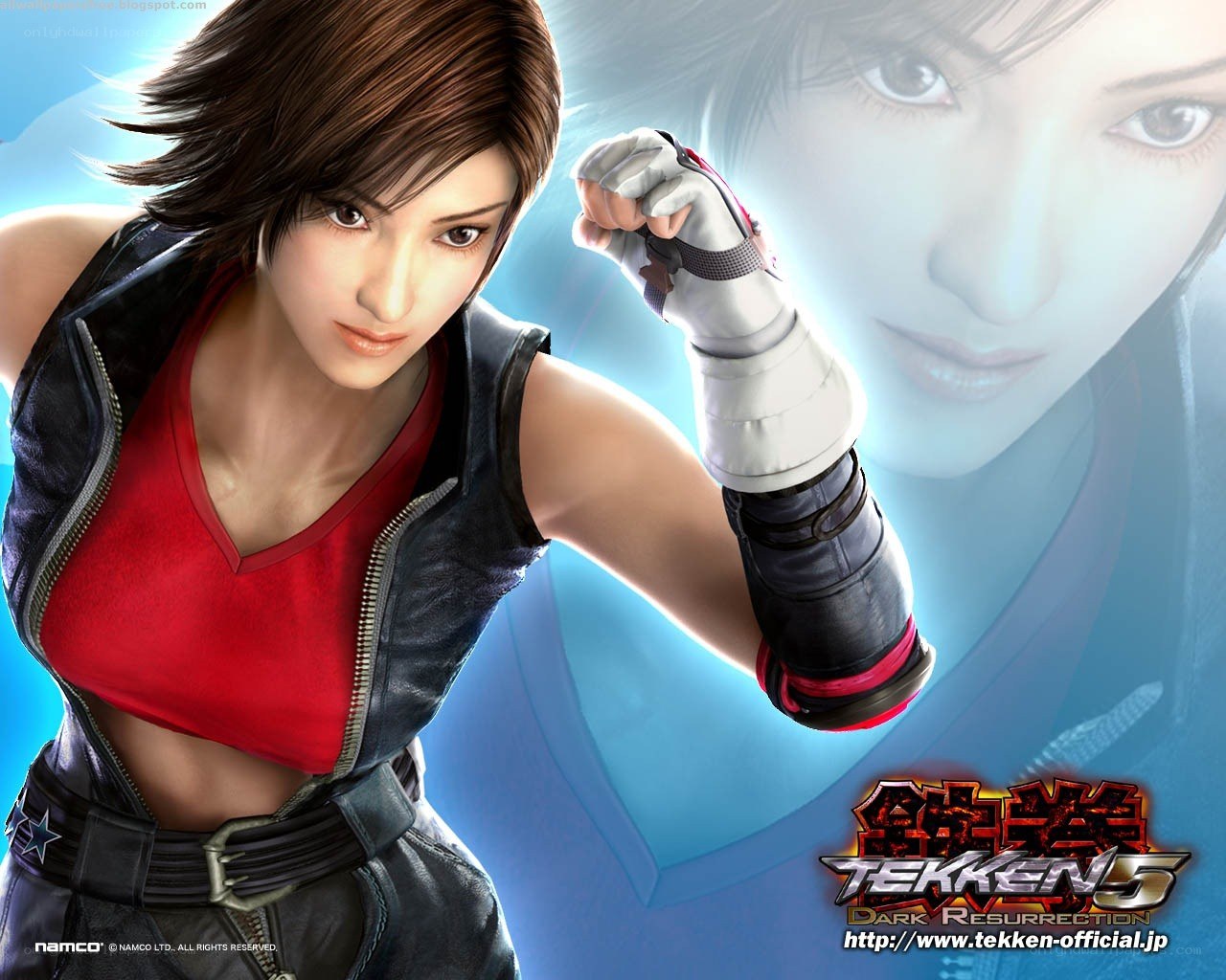 Tekken 5 character artwork