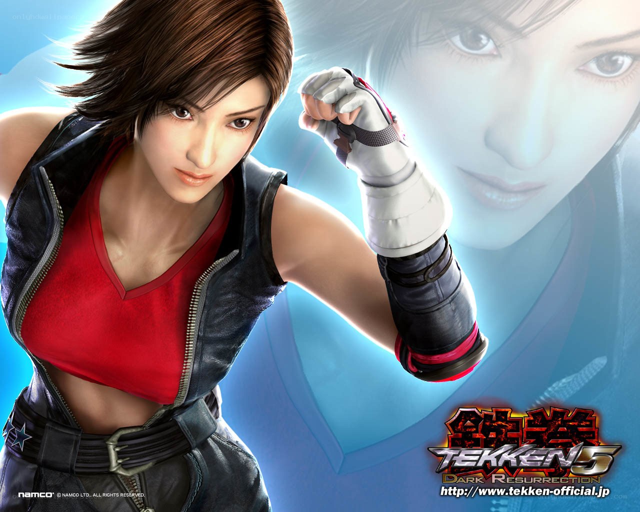 Tekken 5 character artwork
