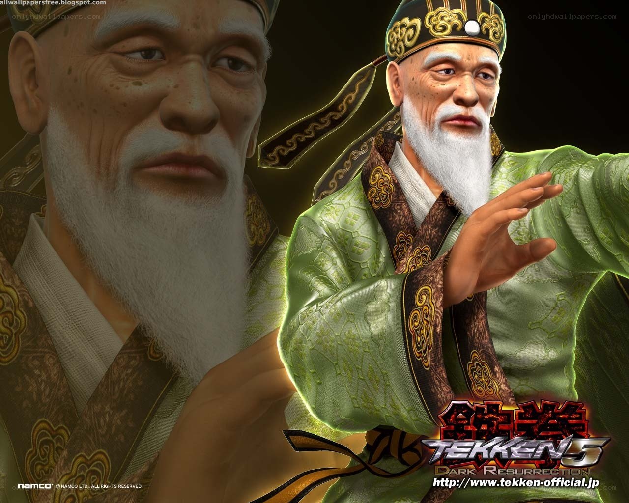 Tekken 5 character portrait