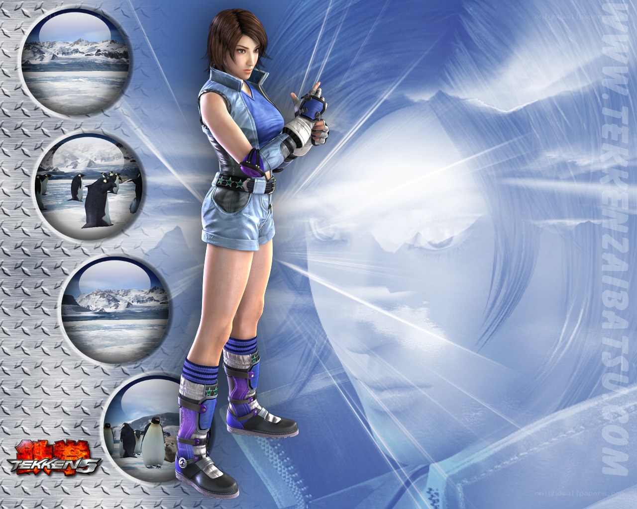 Tekken 5 character wallpaper