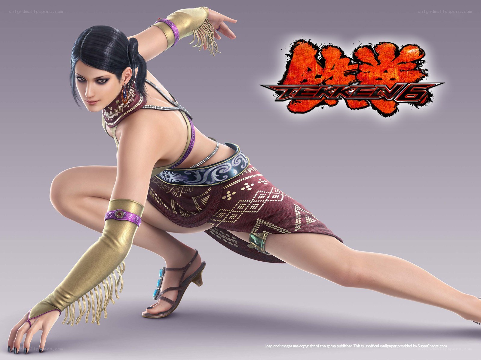 Tekken 6 character art