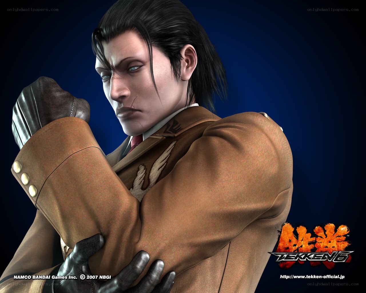 Tekken 6 character portrait