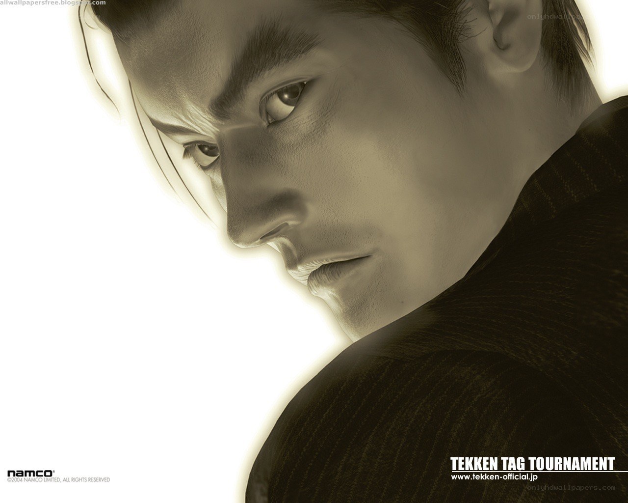 Tekken Tag Tournament character portrait