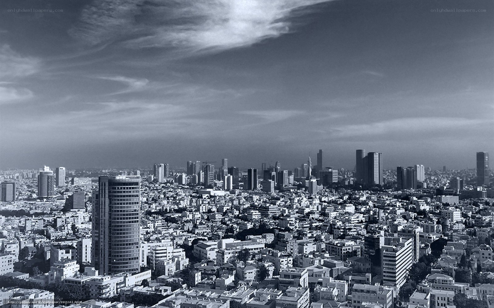 Tel Aviv city skyline
