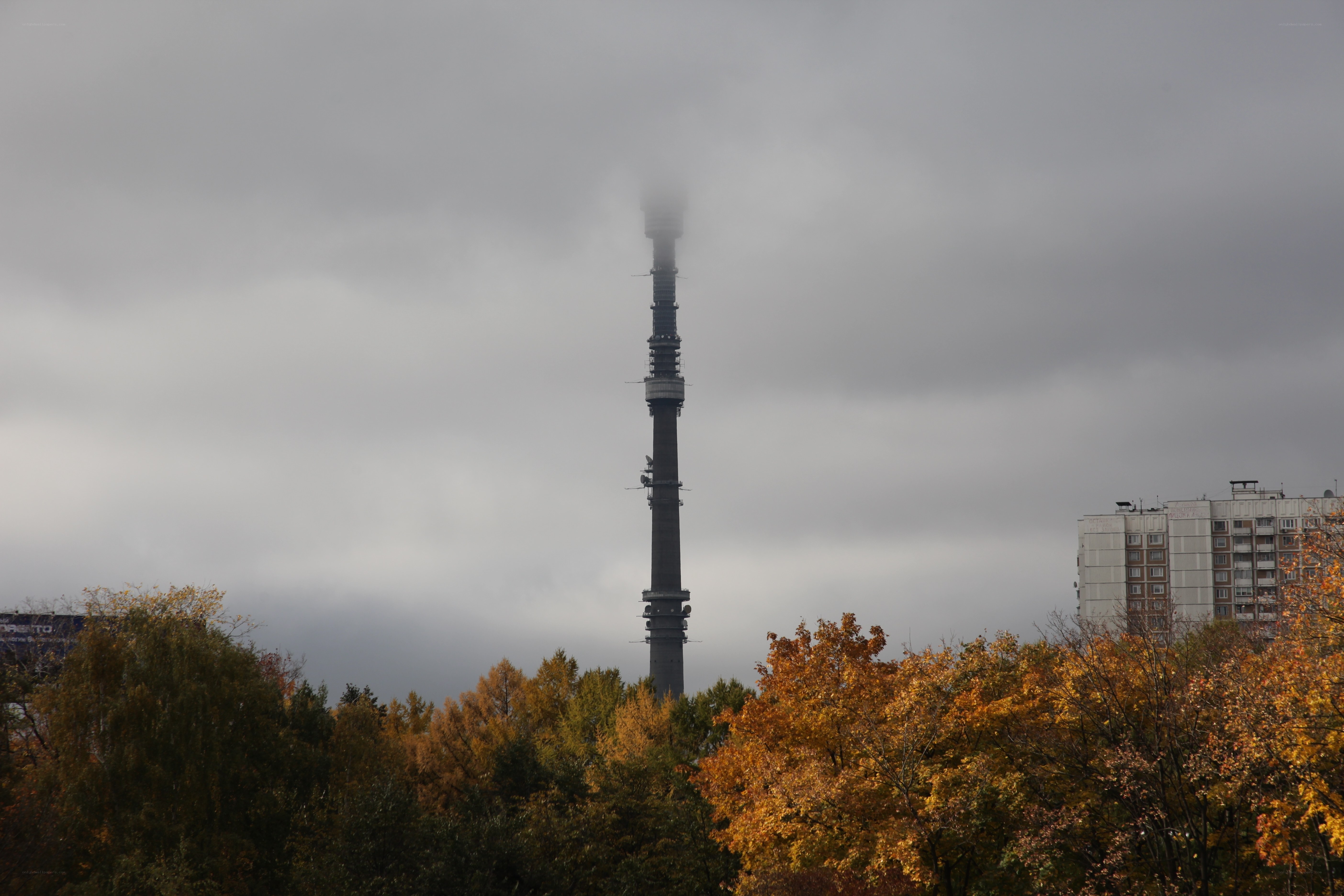 Telecommunication tower in autumn