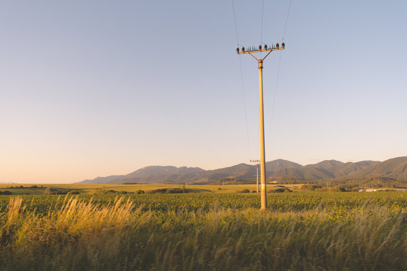Telephone Pole in Field — Green