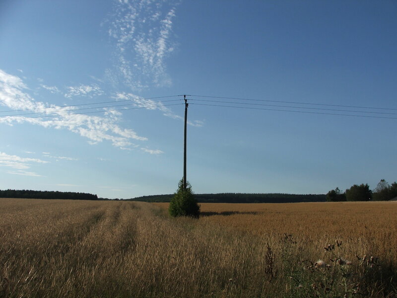 Telephone Pole in Field
