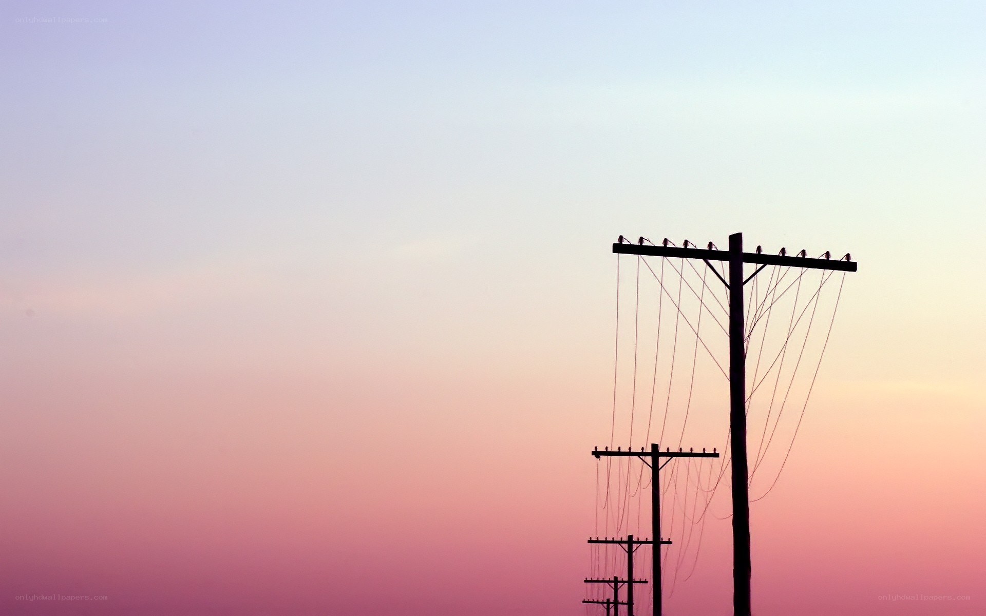 Telephone poles at sunset