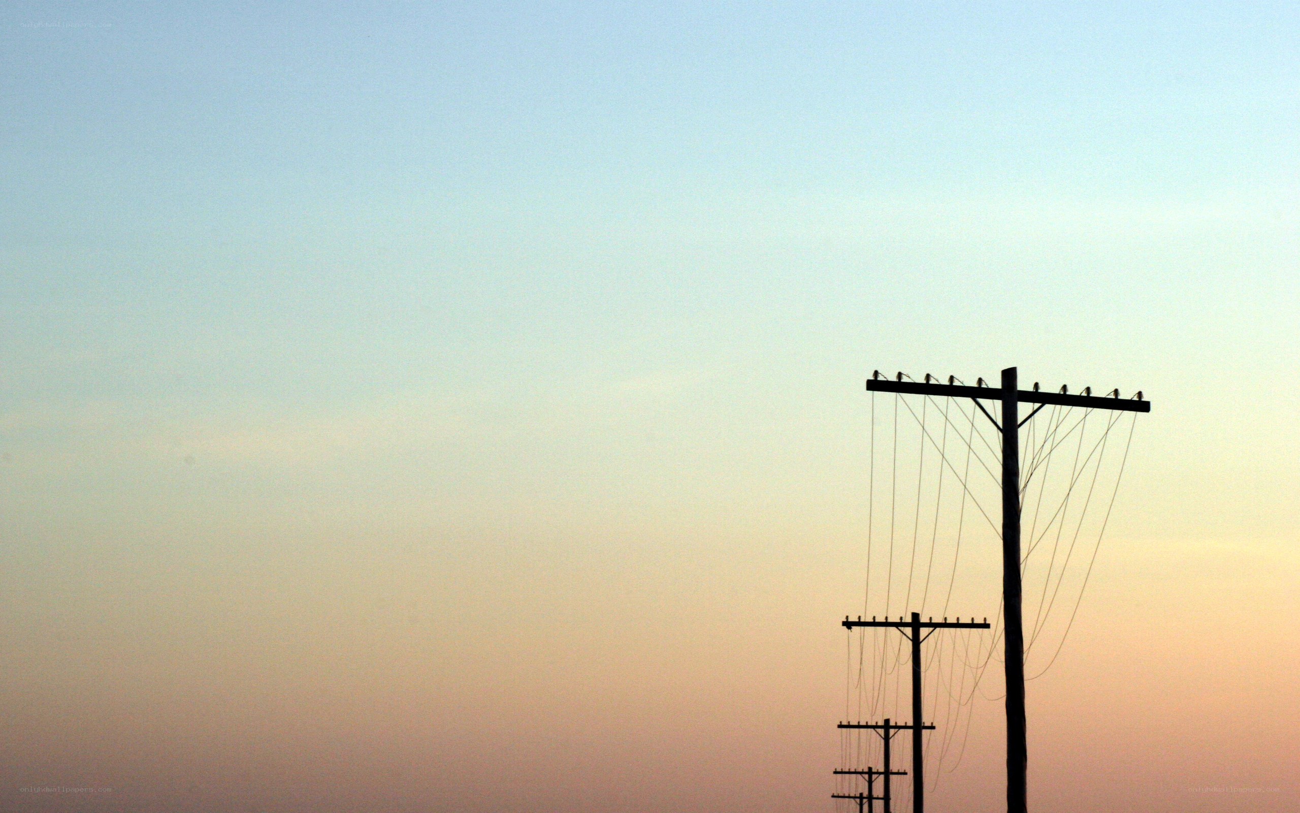Telephone poles at sunset