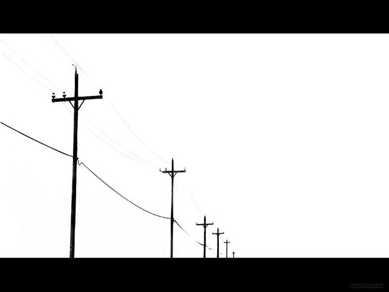 Telephone poles in silhouette