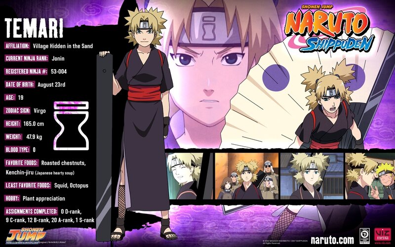 Temari Character Profile — Purple