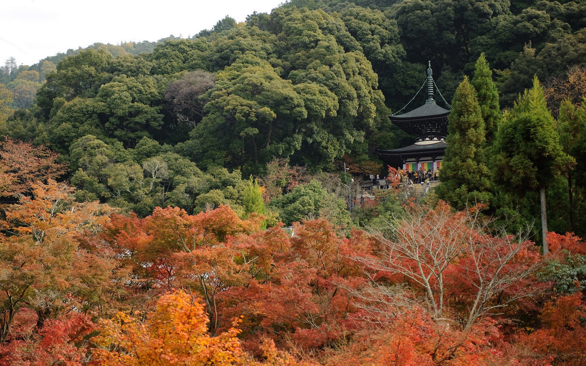 Temple amidst autumn foliage