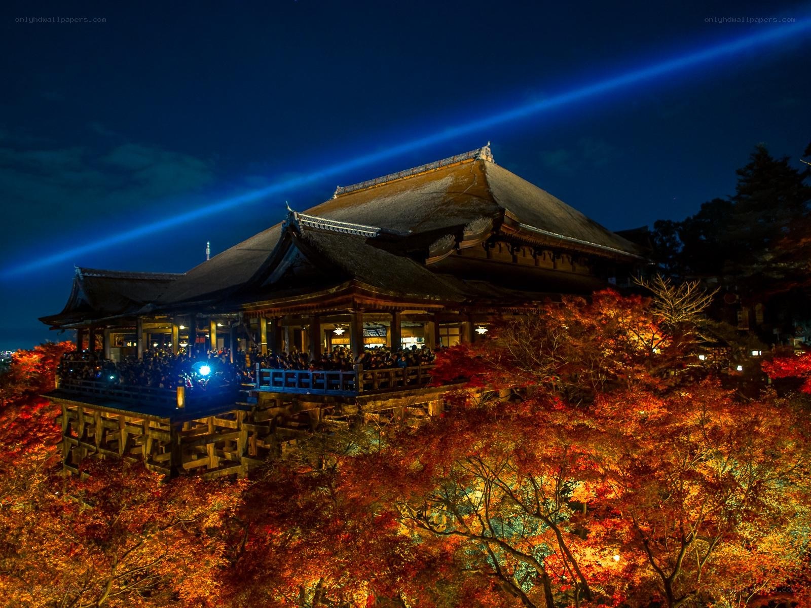 Temple at night with autumn leaves