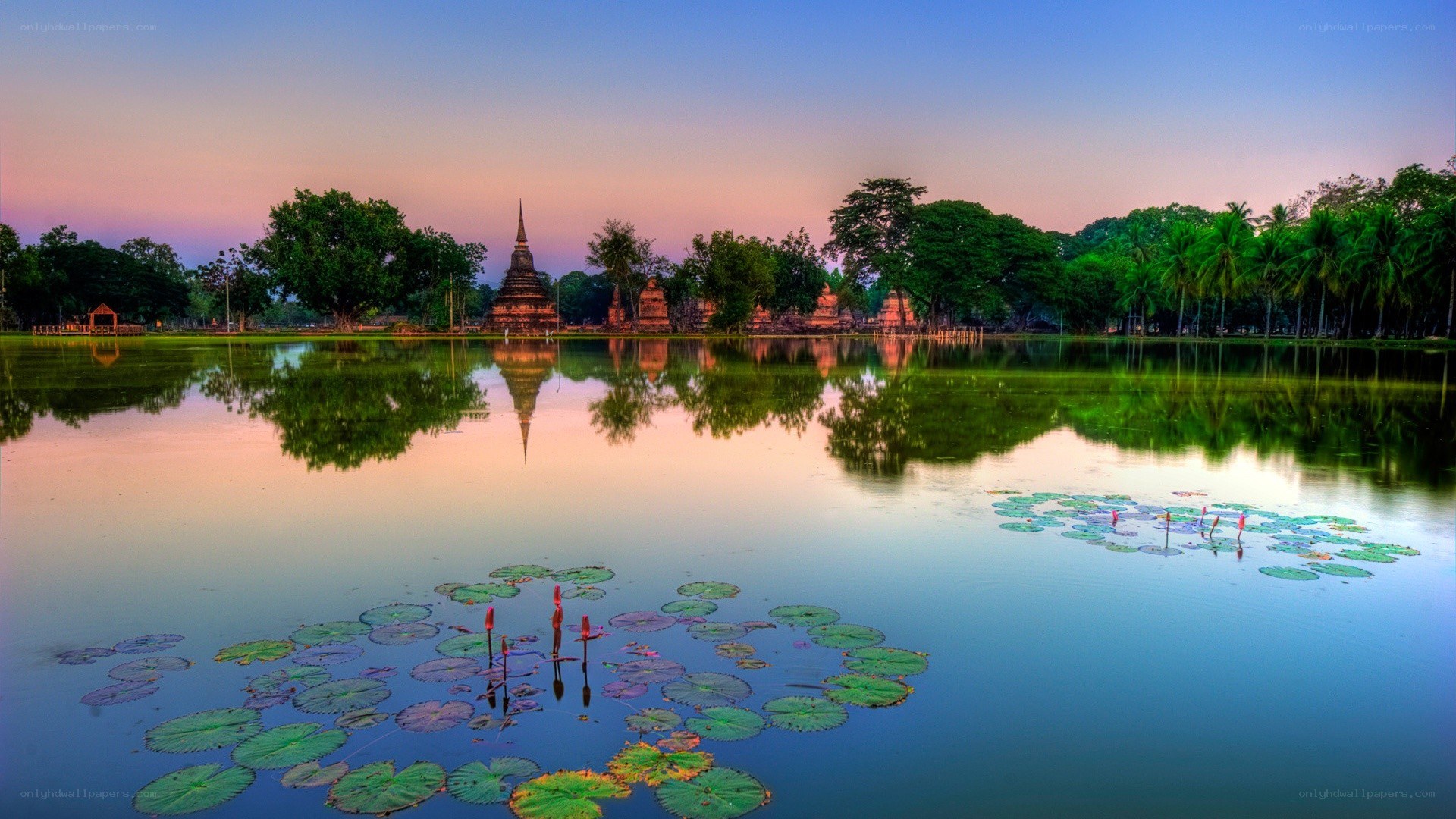 Temple at sunset with lotus pond