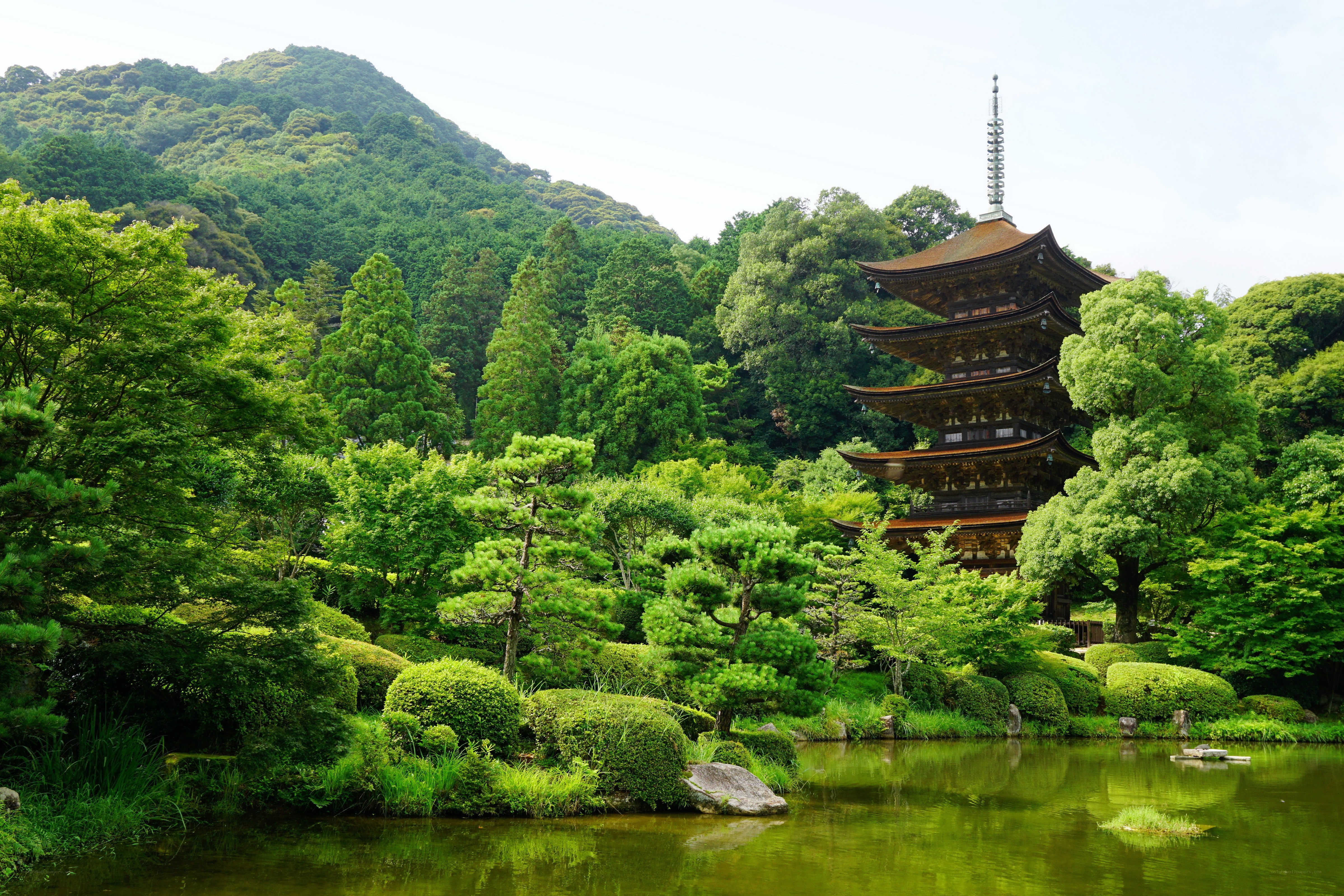 Temple in a lush green garden