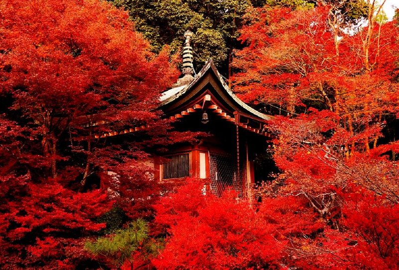 Temple in Autumn Foliage — Red