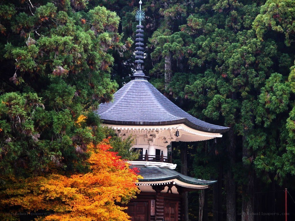 Temple in autumn forest