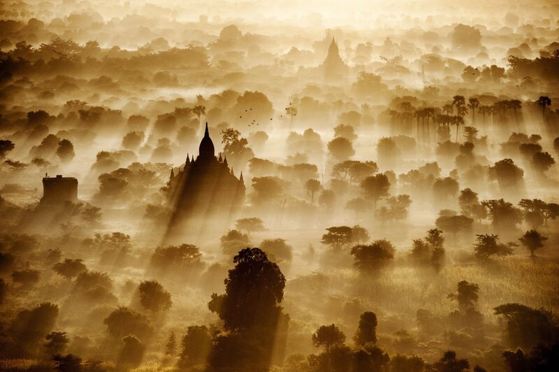 Temple in Misty Forest — Gold