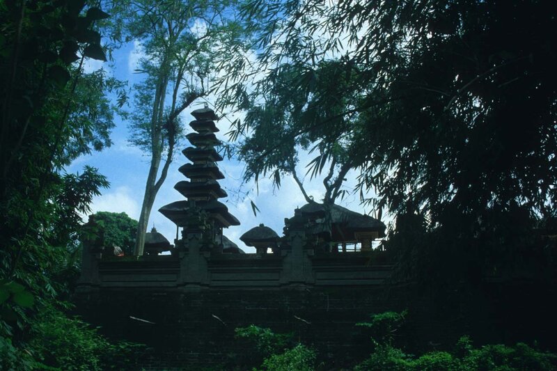 temple in tropical foliage