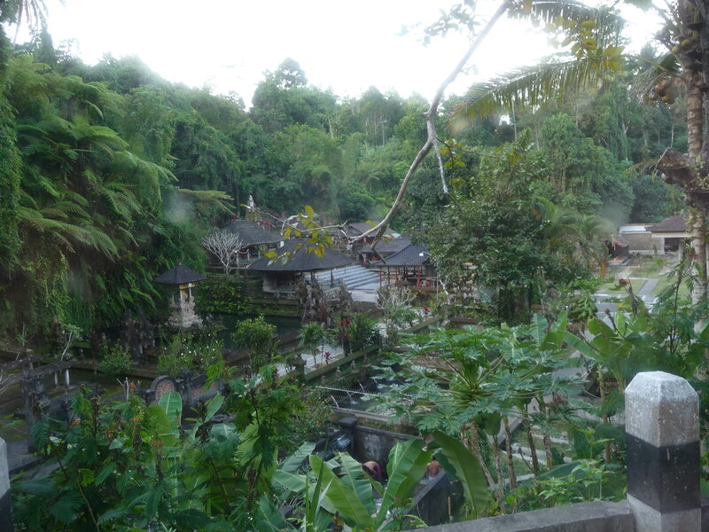 temple in tropical forest