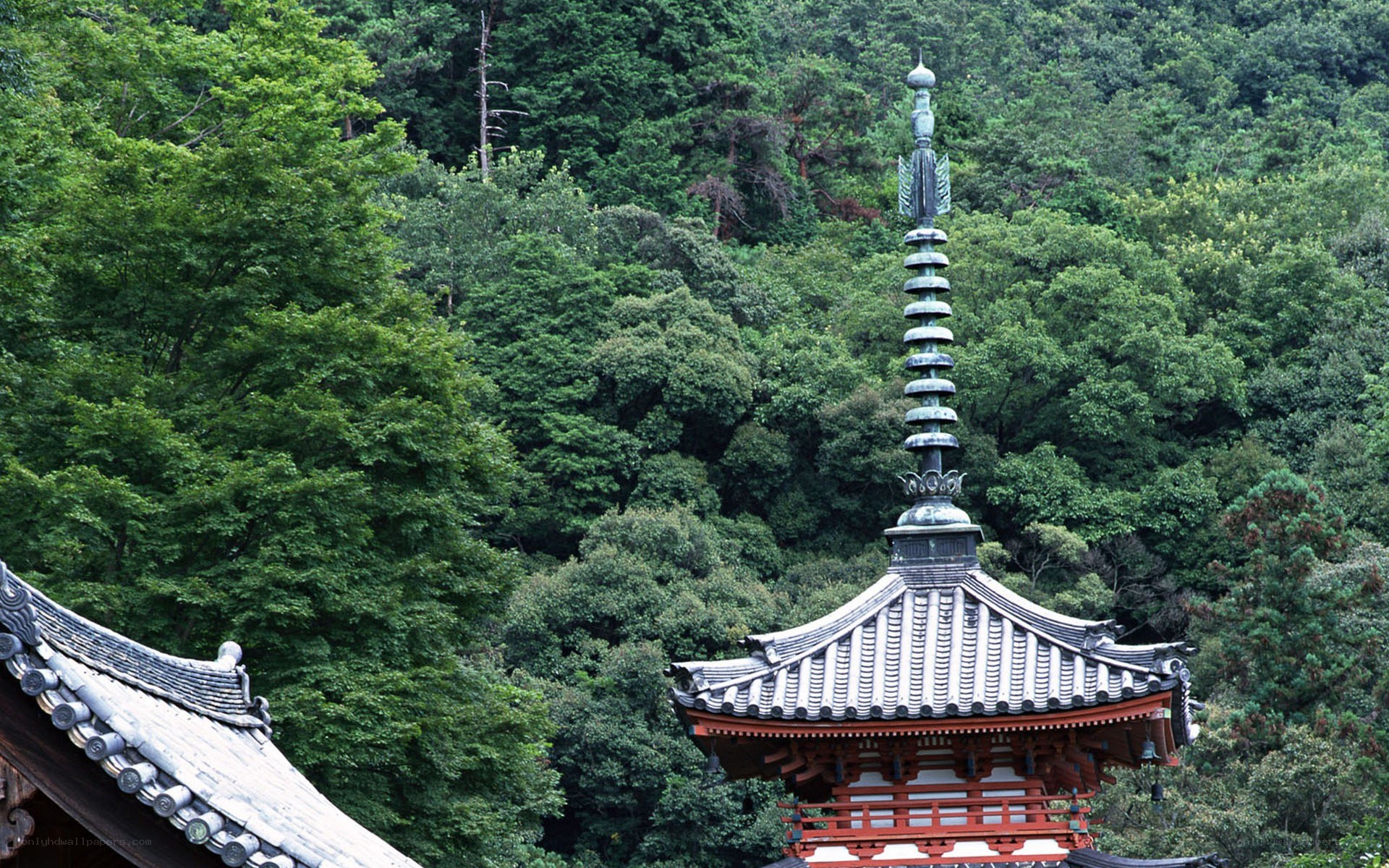 Temple pagoda in forest