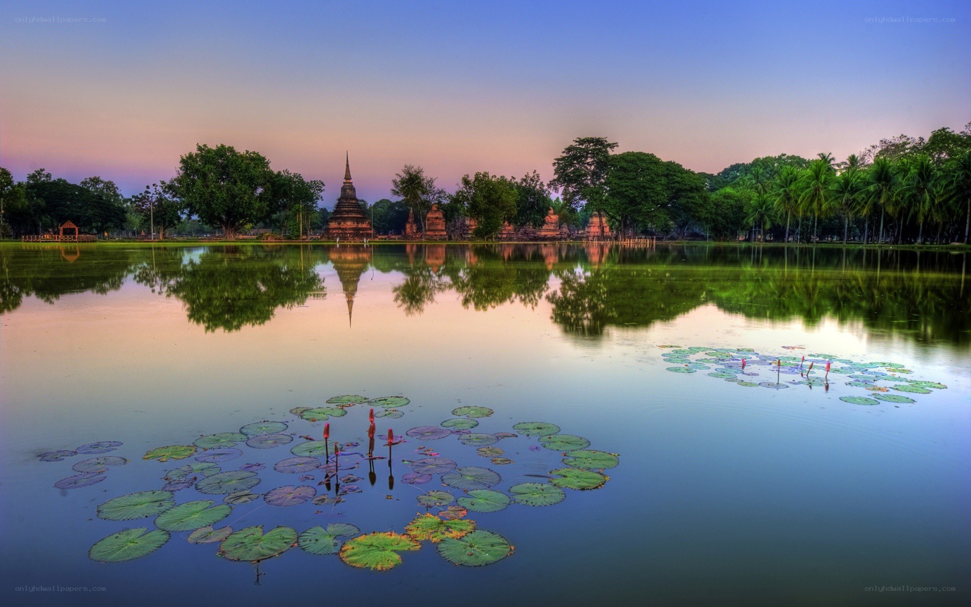 Temple reflected in a lotus pond