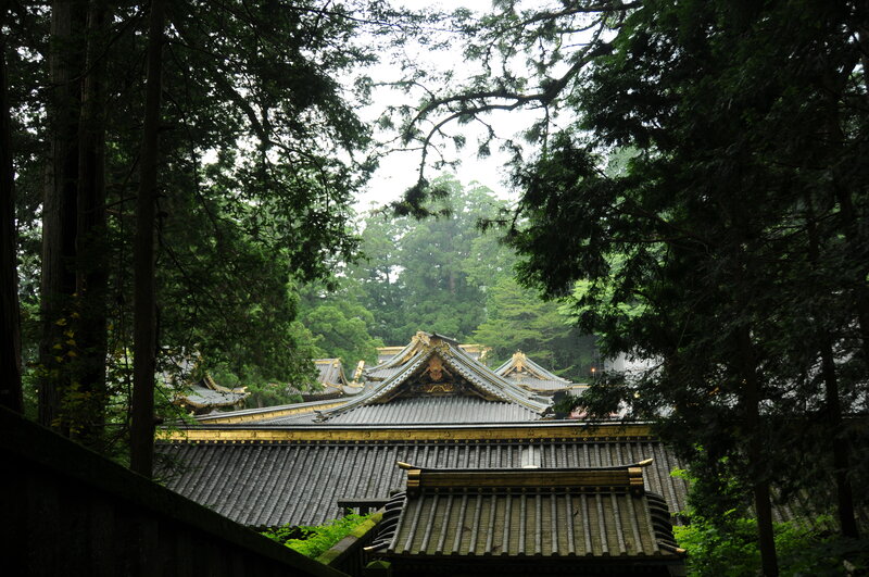 Temple roof in forest