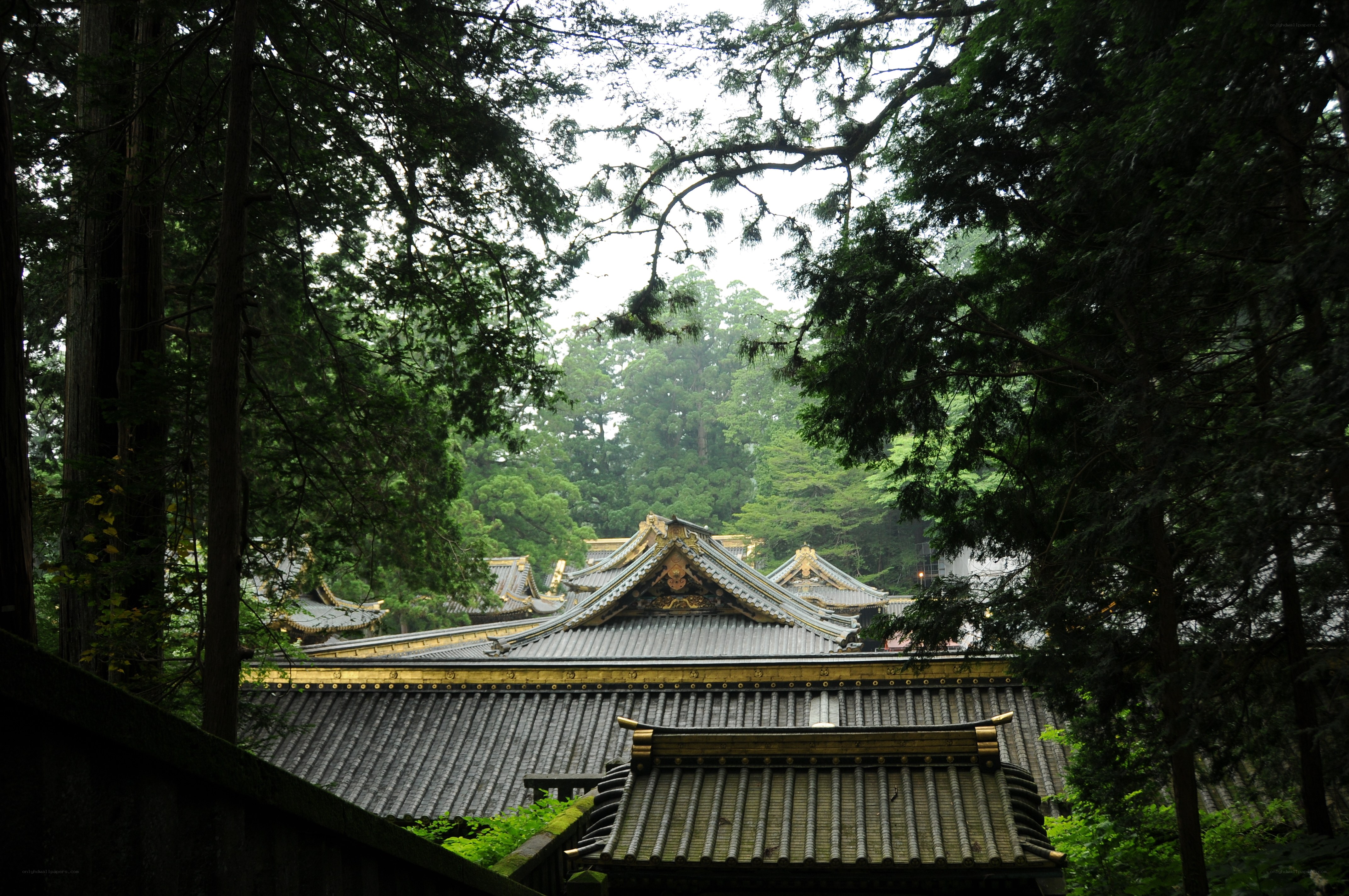 Temple roof in forest