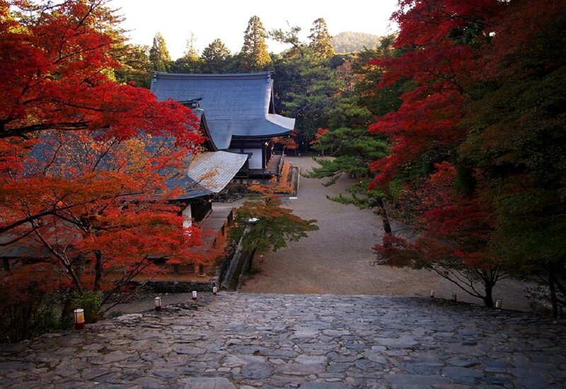 Temple with Autumn Trees