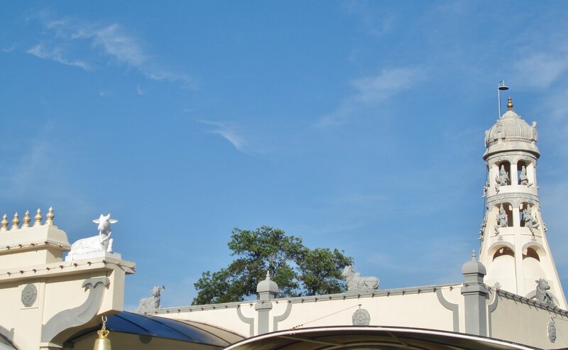Temple with Cow Statues